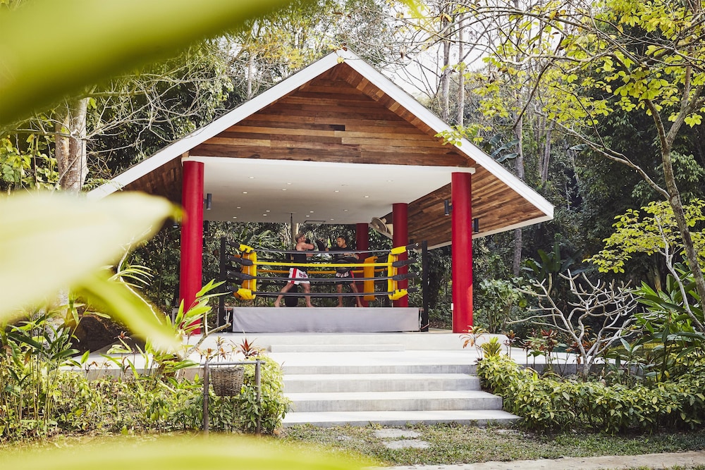 Anantara Golden Triangle Elephant Camp Resort 6/82