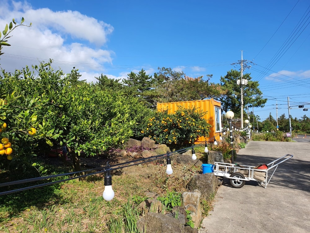 Jeju Meomuri 40/50