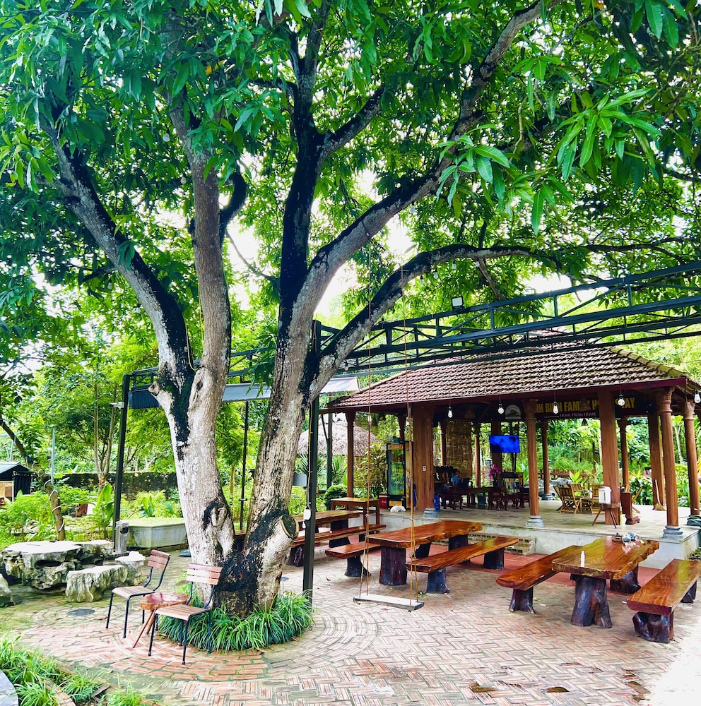 Ninh Binh Family Homestay 32/50