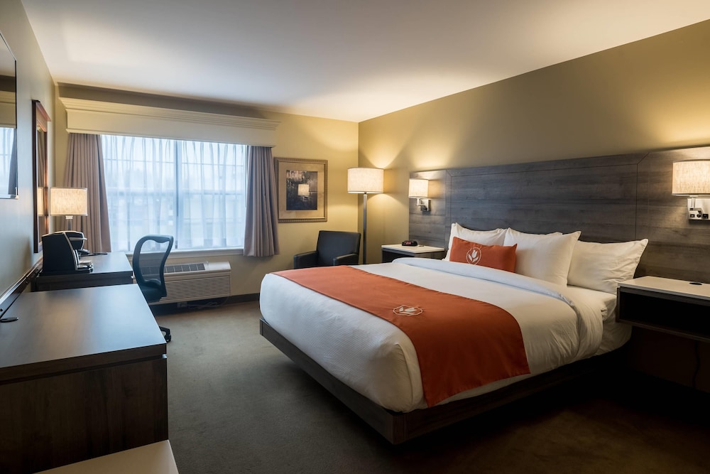 غرفة قياسية بسرير كينج