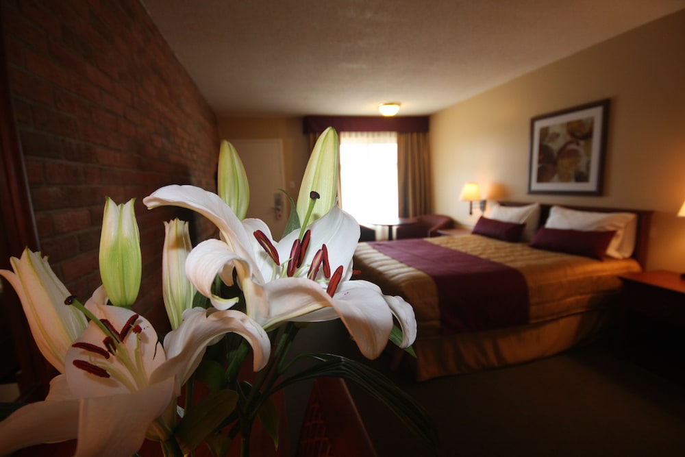 Motel Adam 55/70