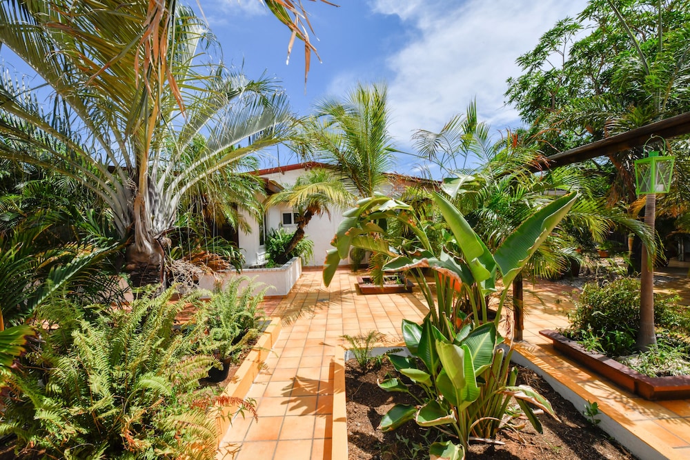 Brisas Studio Apartments - Adults Only 39/50