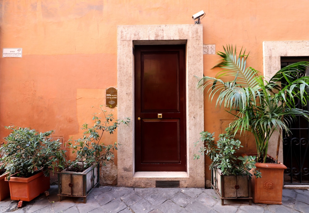 Wonder Lovely Navona 5/50