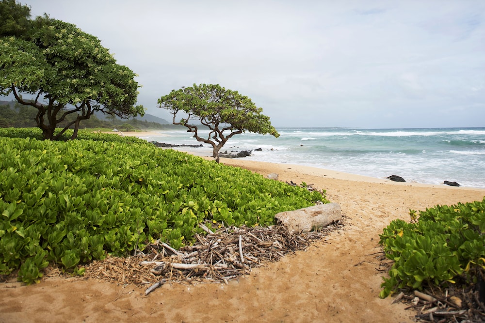 Kauai Beach Villas 16/40