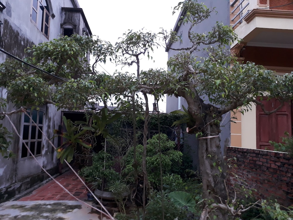 Tamcoc White Swan Hostel 5/48
