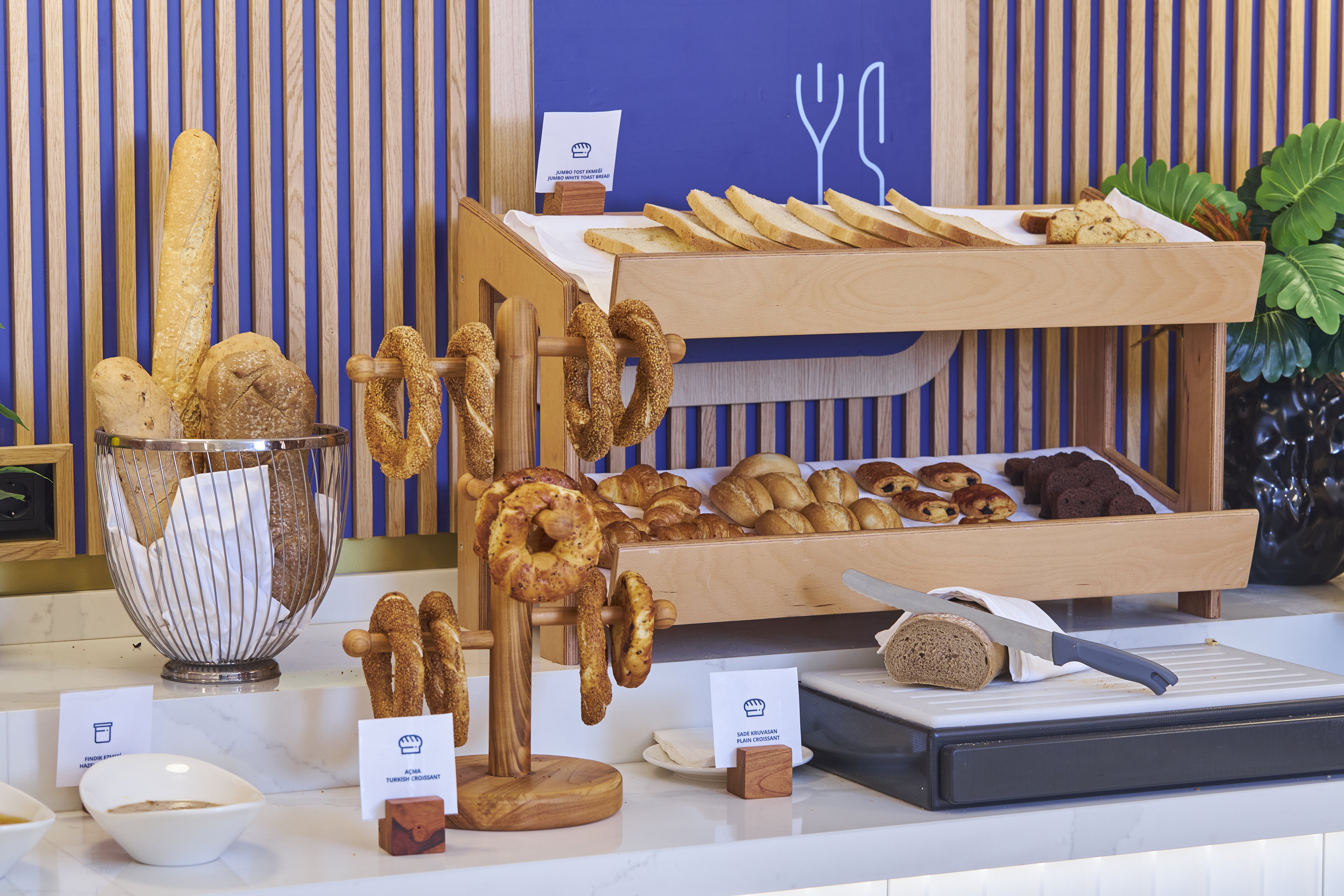 Holiday Inn Express Istanbul - Airport Arnavutkoy 24/50