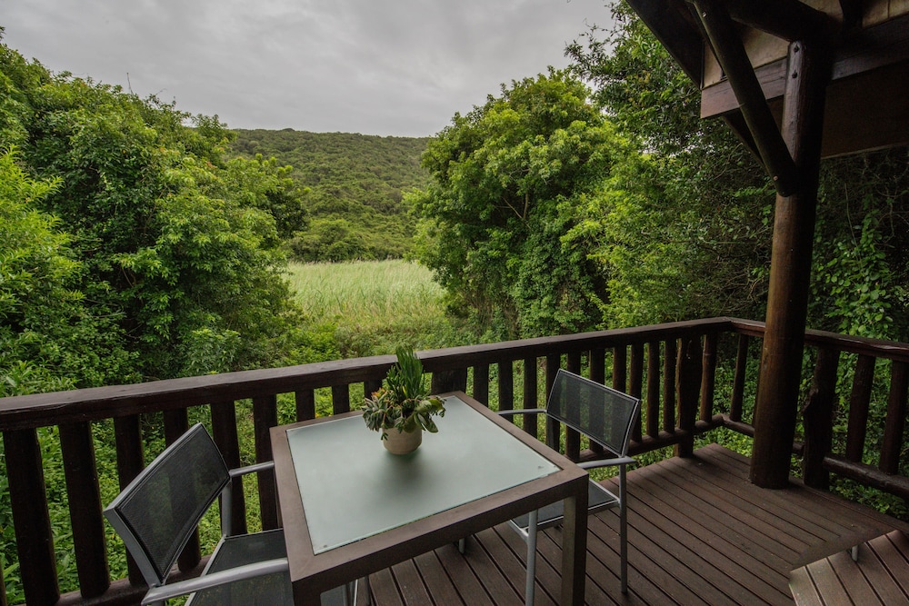 Thunzi Bush Lodge 38/50