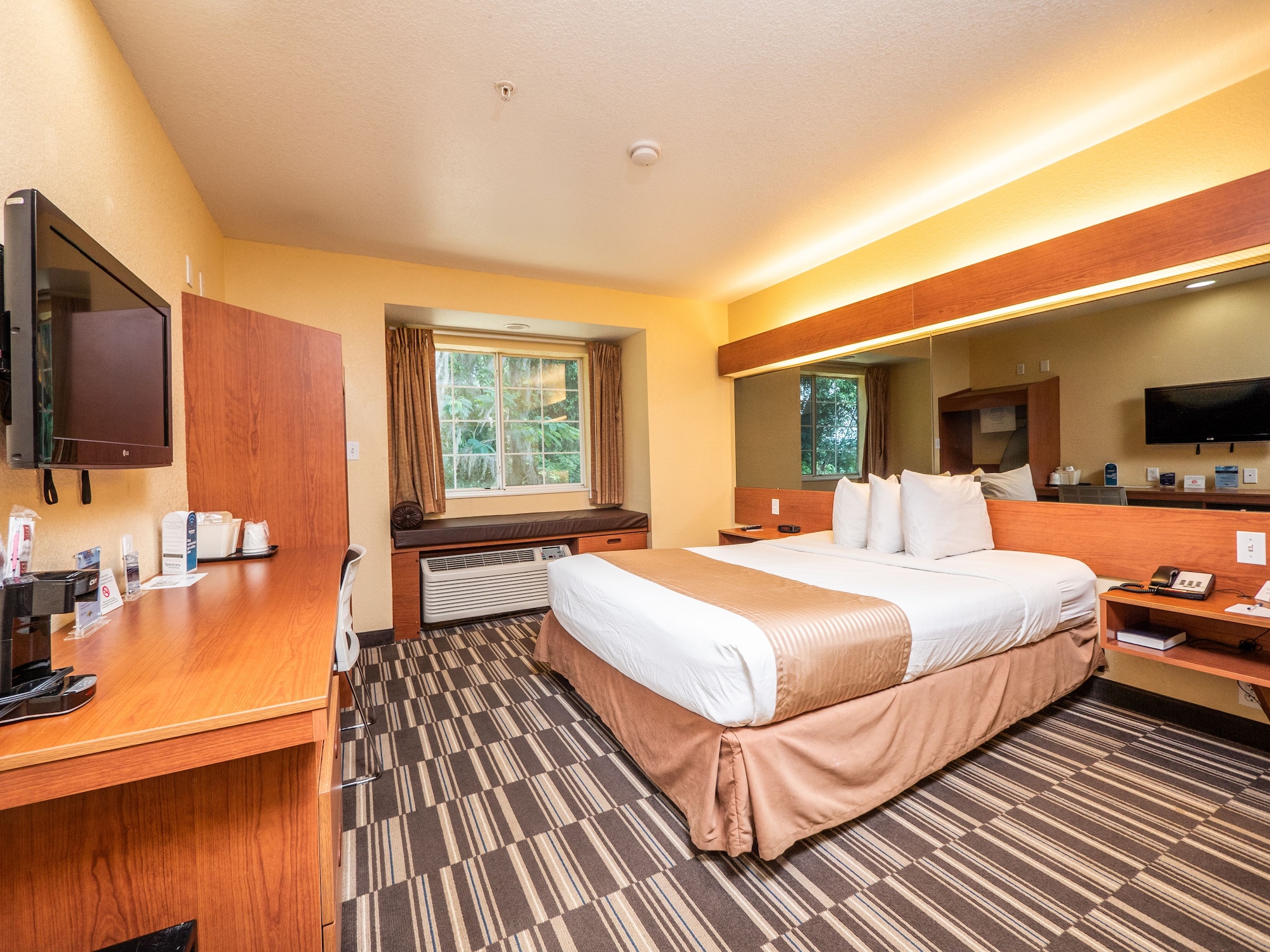 STUDIO, SUITE, QUEEN BED, ACCESSIBLE