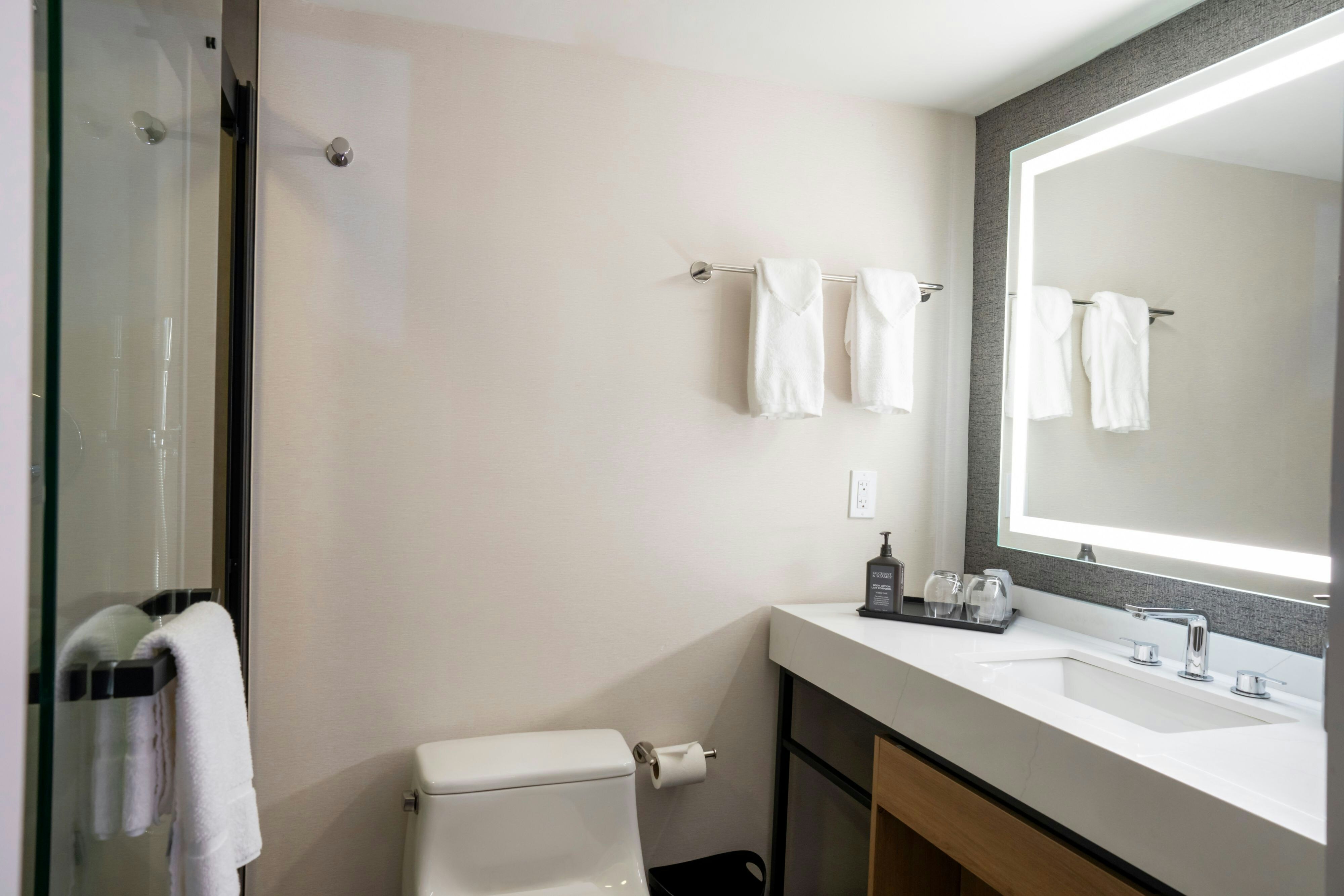 غرفة بسرير كينج، Sheraton Niagara Falls New York 14/16