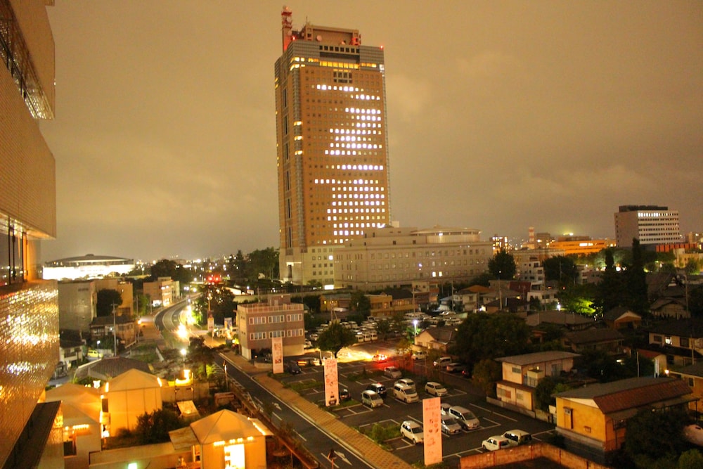 Gunma Royal Hotel 19/49