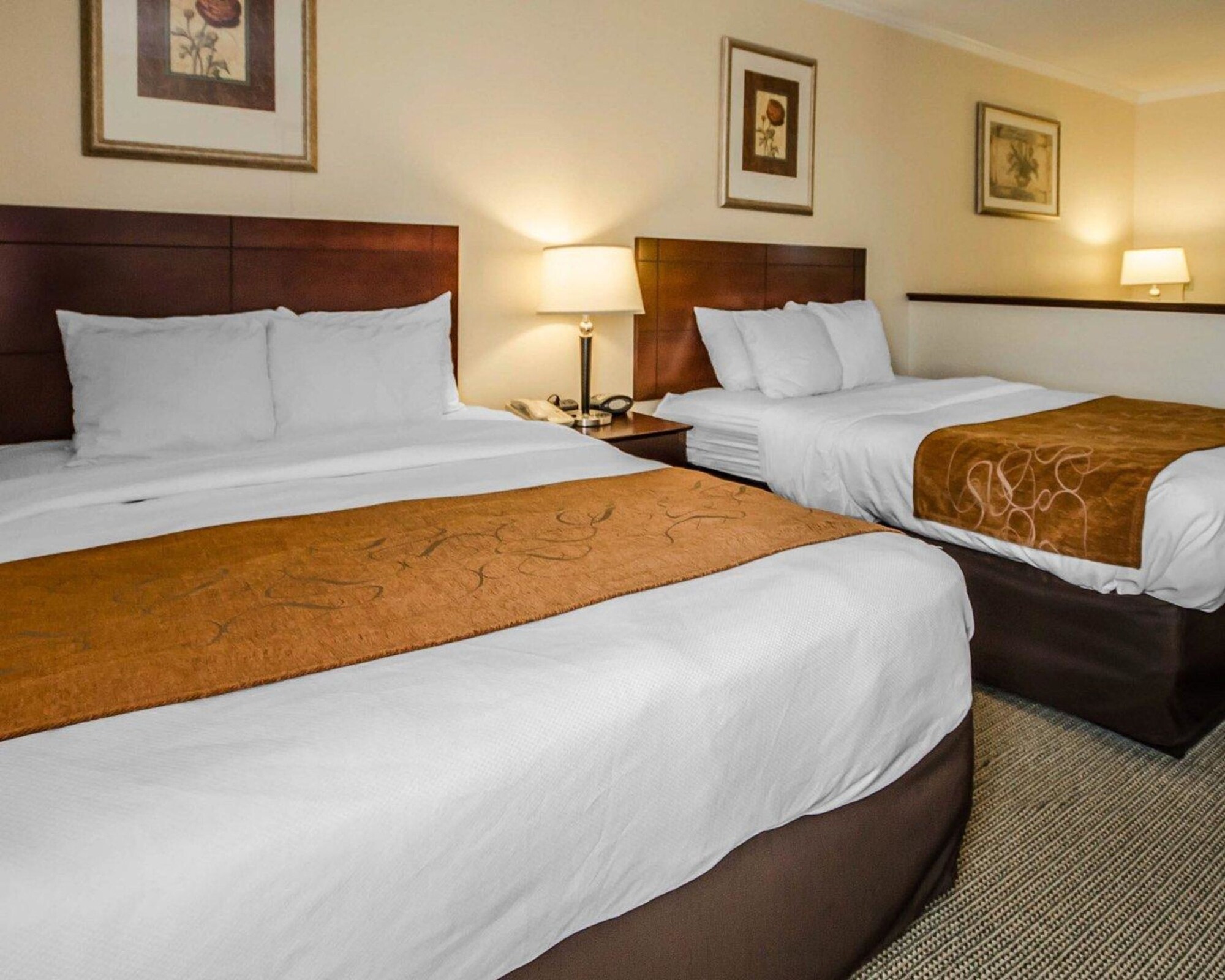 Suite, 2 Queen Beds, Sofa