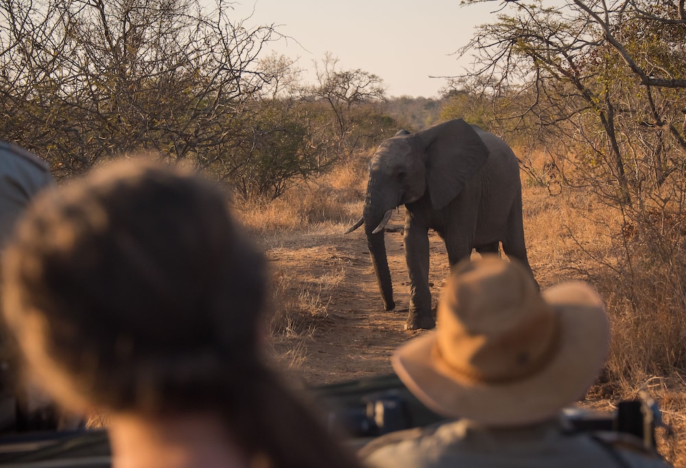 Waterbuck Game Lodge - All Inclusive 42/50