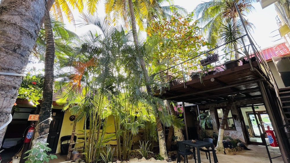HOTEL PLAYA DEL KARMA 35/54