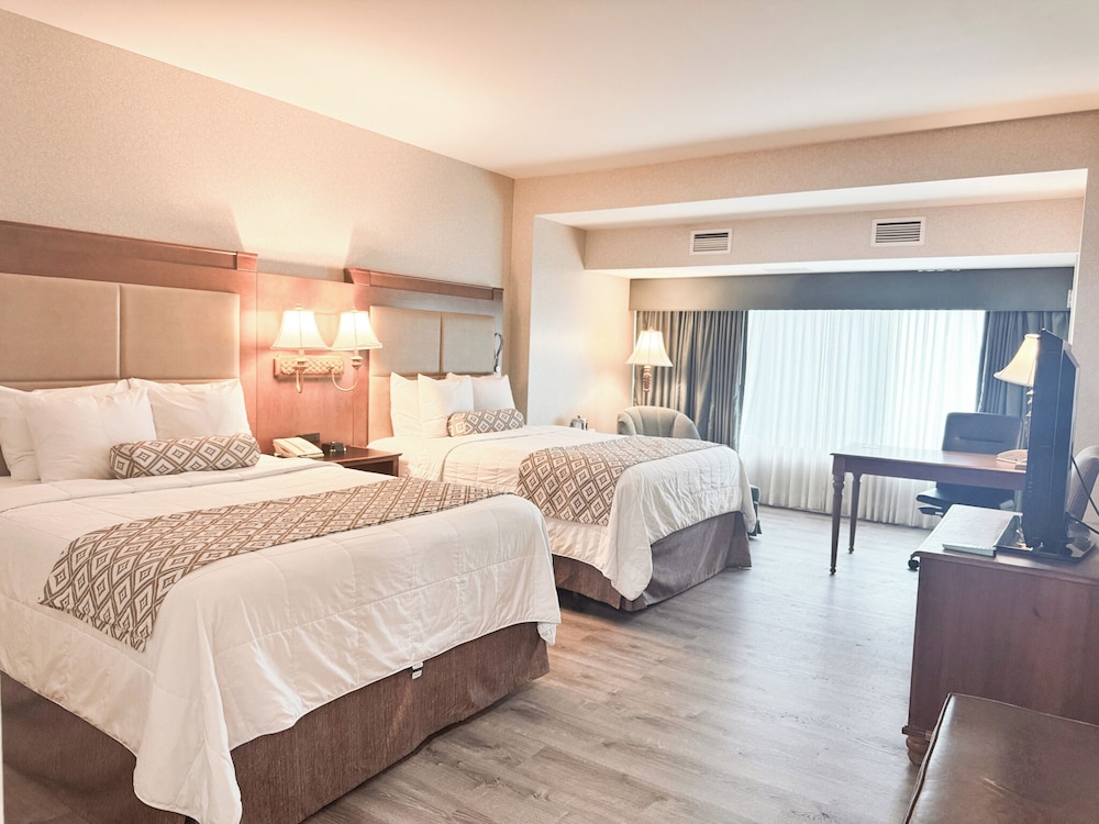 EXECUTIVE, 2 QUEEN BEDS