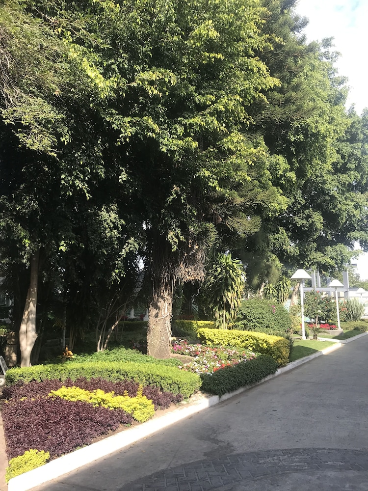 Hotel Ronda Minerva 59/62