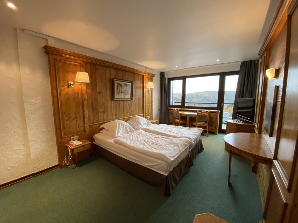 HOTEL AUX TROIS ROSES 17/54