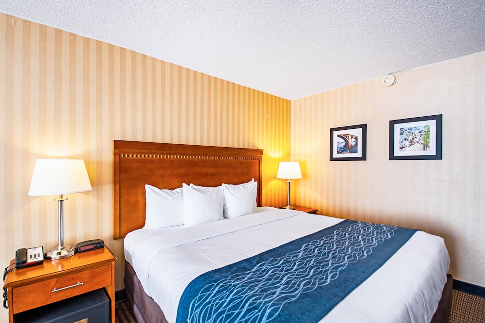 Comfort Inn Falls Church - Tysons Corner 12/35
