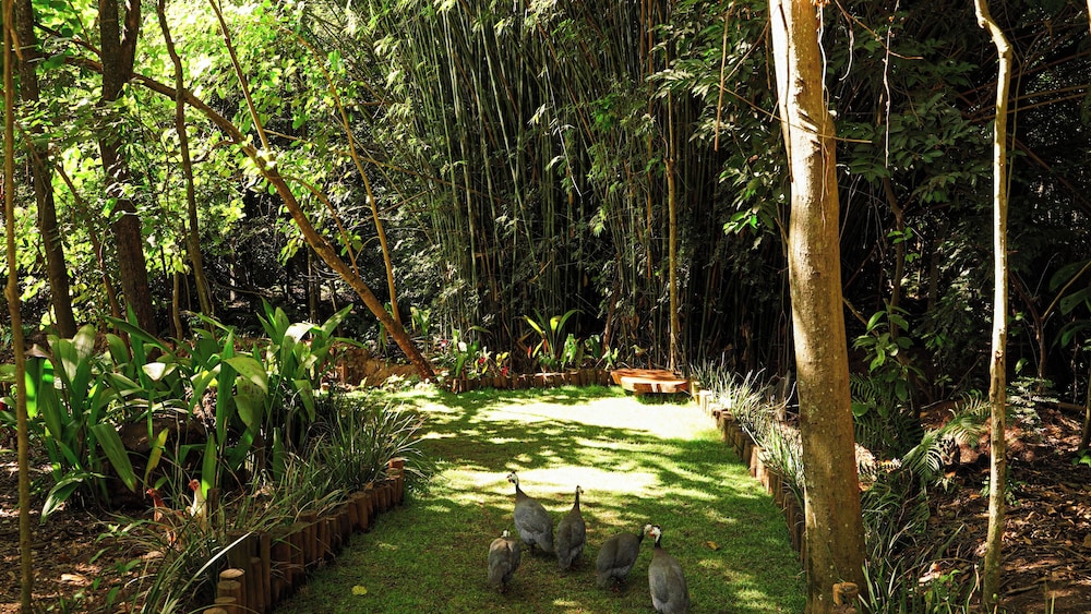 Hotel Fazenda Vale Amanhecer 44/50