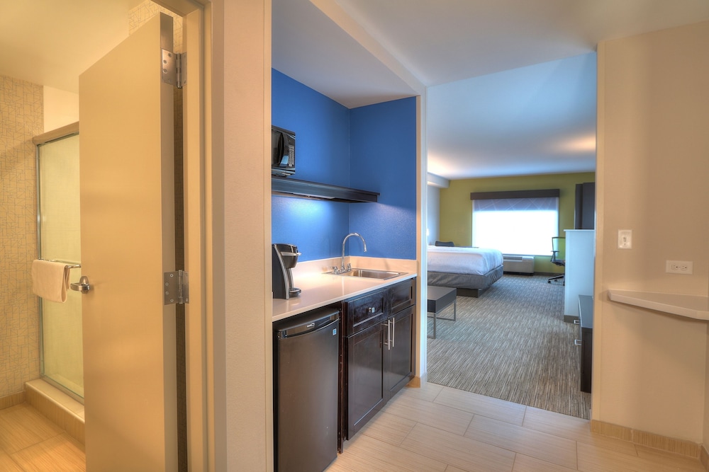 Holiday Inn Express Hotel Suites Mobile Saraland 27/54