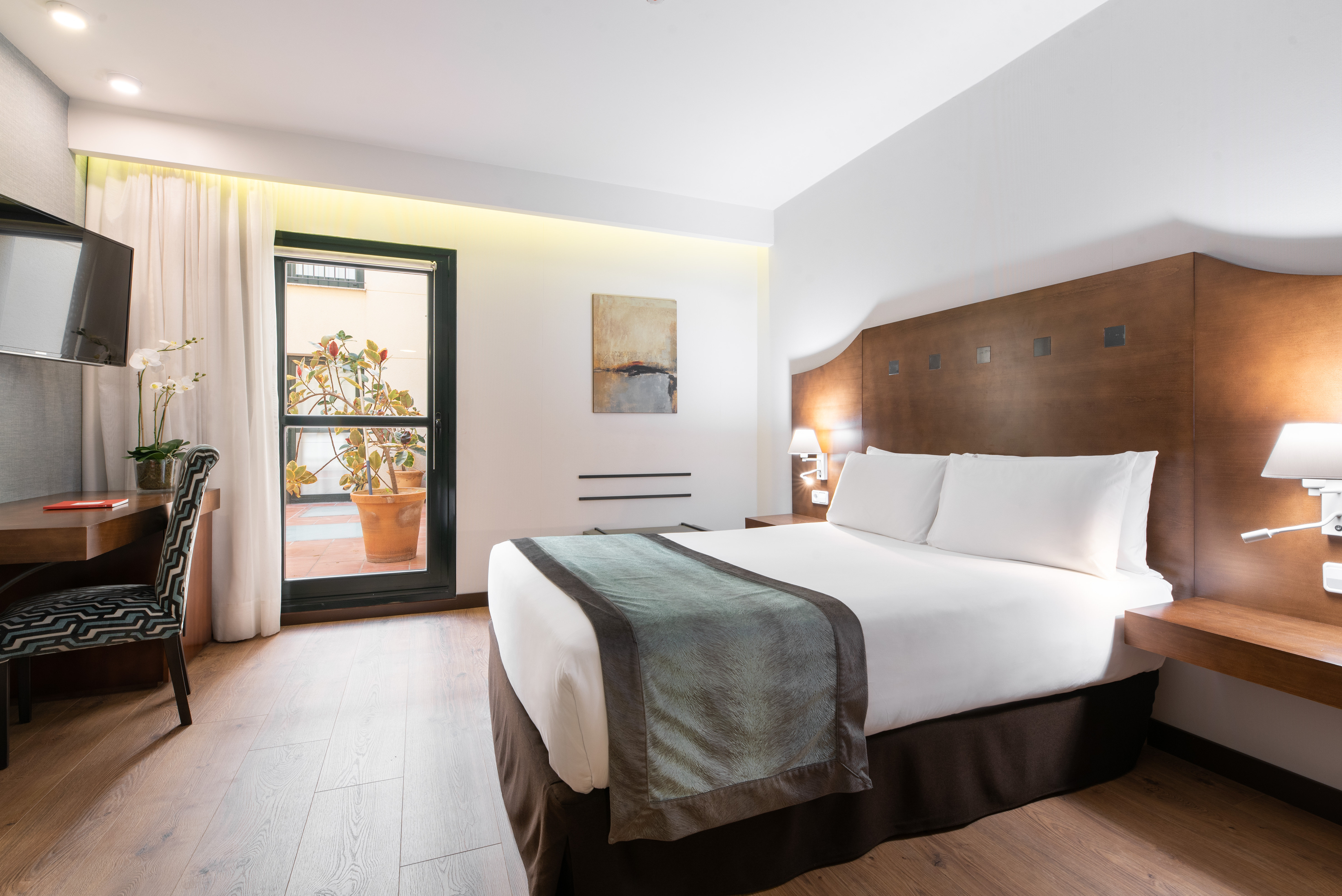 Dorma Agora Caceres 8/50