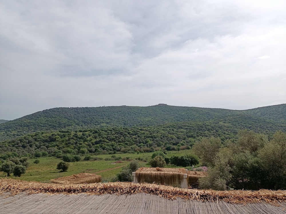 Delice Doga Evi - Hostel 35/50
