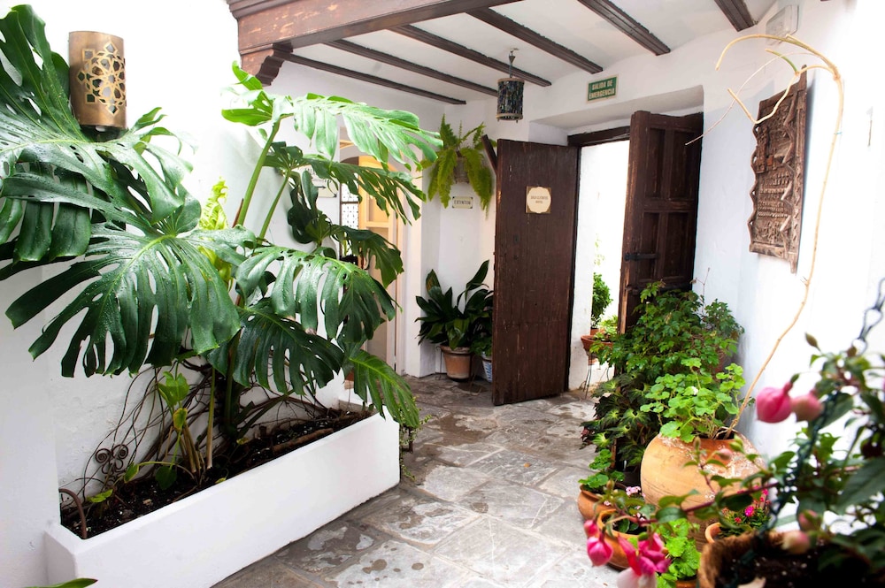 La Casa Del Califa 6/50