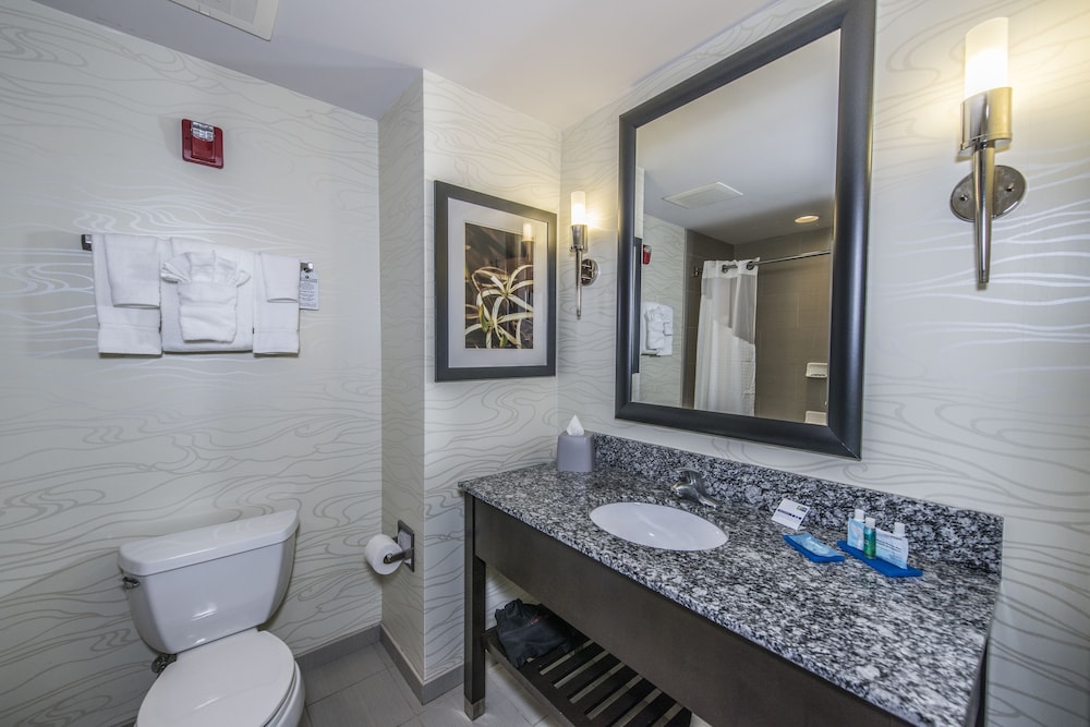 Holiday Inn Express Hotel And Suites Charleston Arpt Conv Ctr Area 17/67