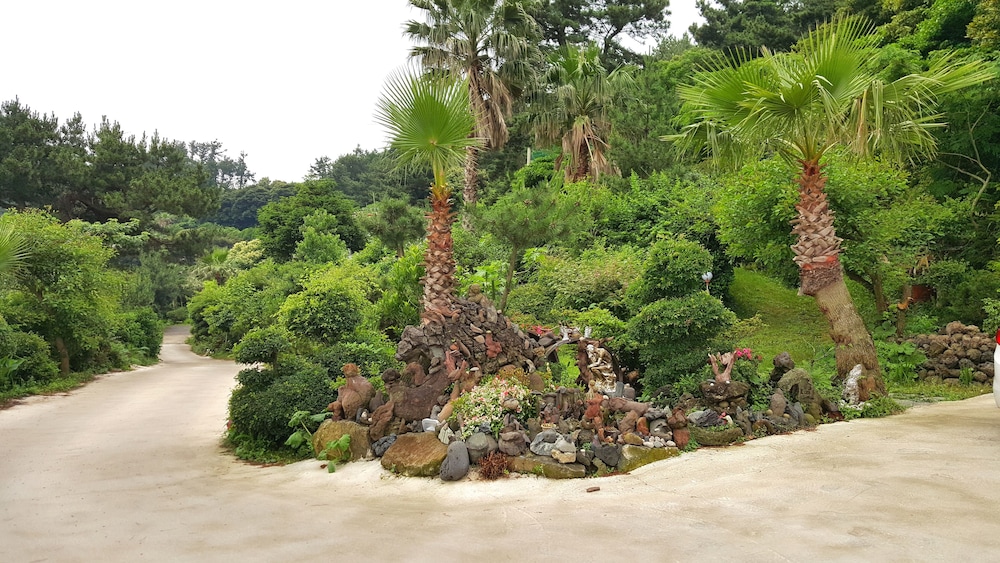 Dreaming Forest 62/67