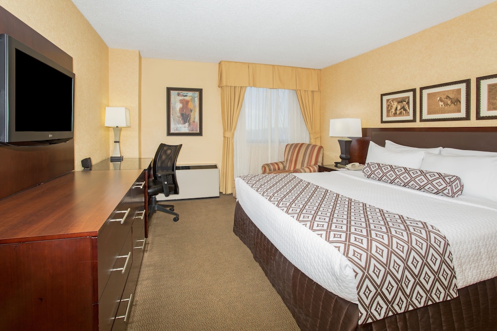 Crowne Plaza Denver Airport Convention Ctr, an Ihg Hotel 13/41