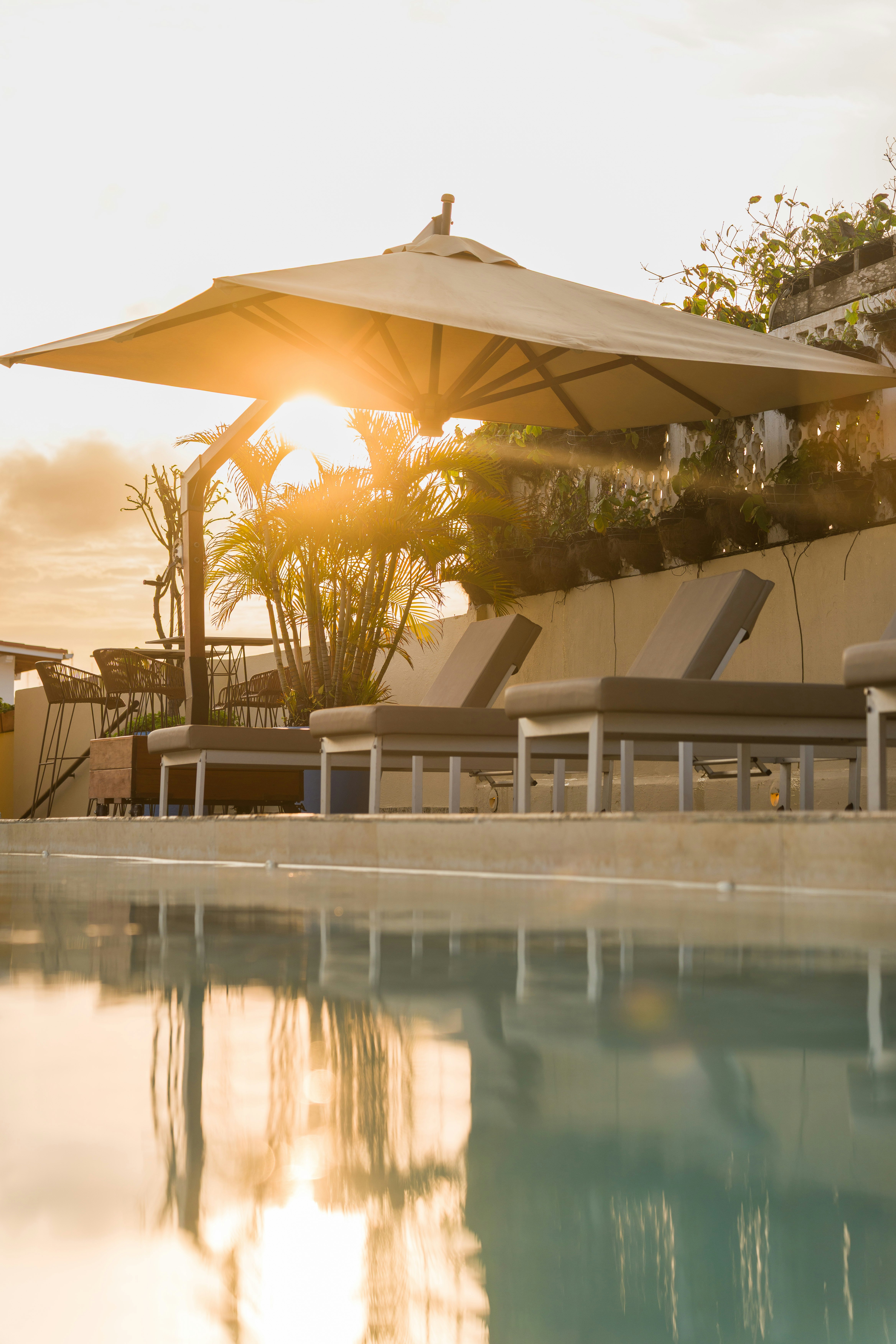 Nacar Hotel Cartagena Curio Collection By Hilton 2/49