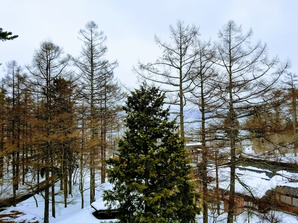 Yamanakako Asahigaoka Onsen Hotel Seikei 55/63
