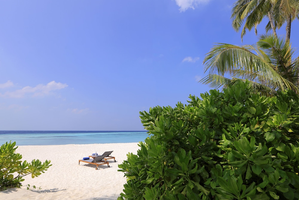 Avani+ Fares Maldives Resort 158/164