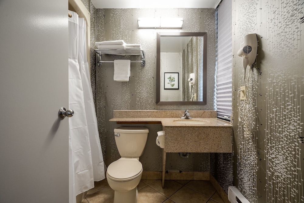Monte Carlo Inn Toronto West Suites 63/65