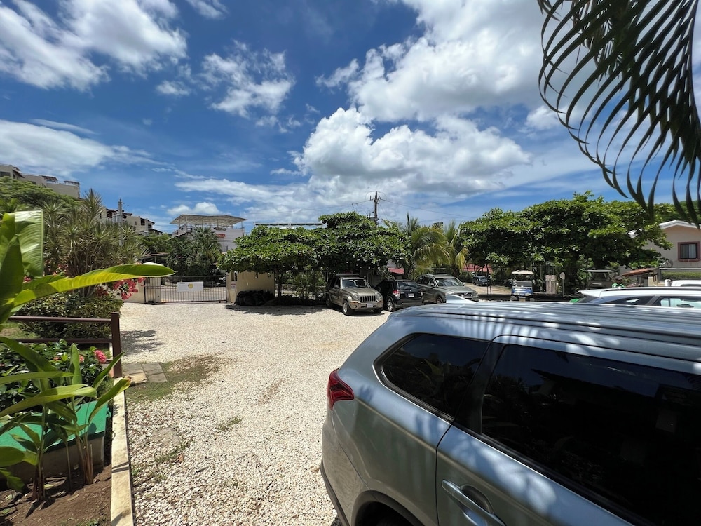 Tropical Gardens 37/48