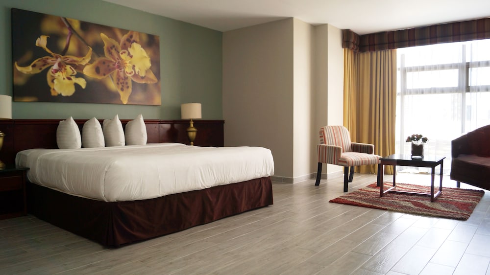 Palma Real Hotel And Casino 10/49