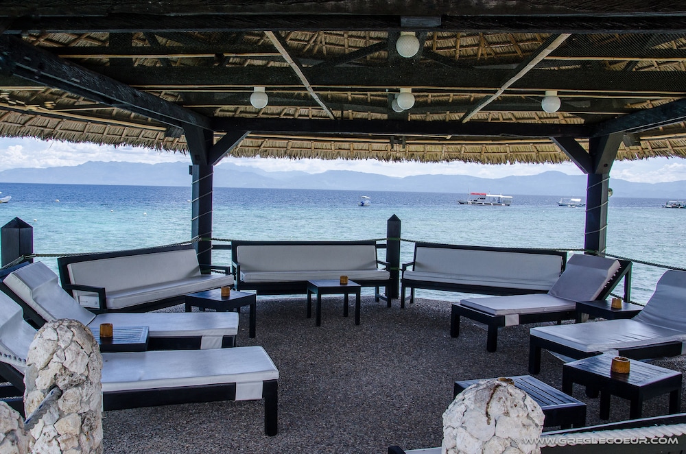 Dolphin House 27/65