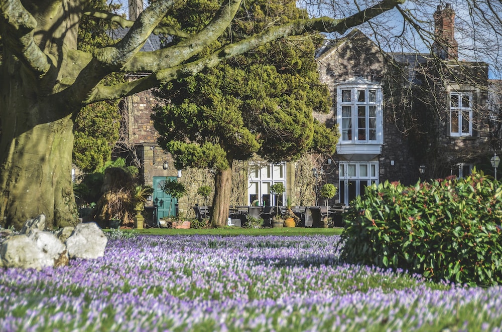 The Priory Hotel And Restaurant 35/42
