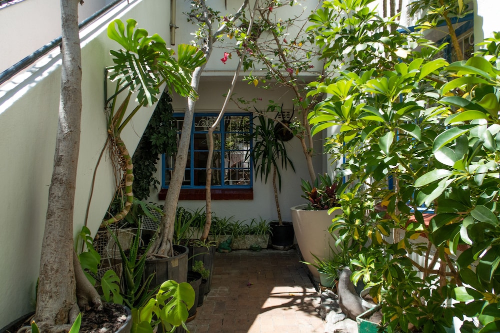 Long Street Backpackers - Adults Only 46/50