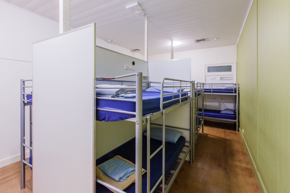 Bunk Backpackers 33/50