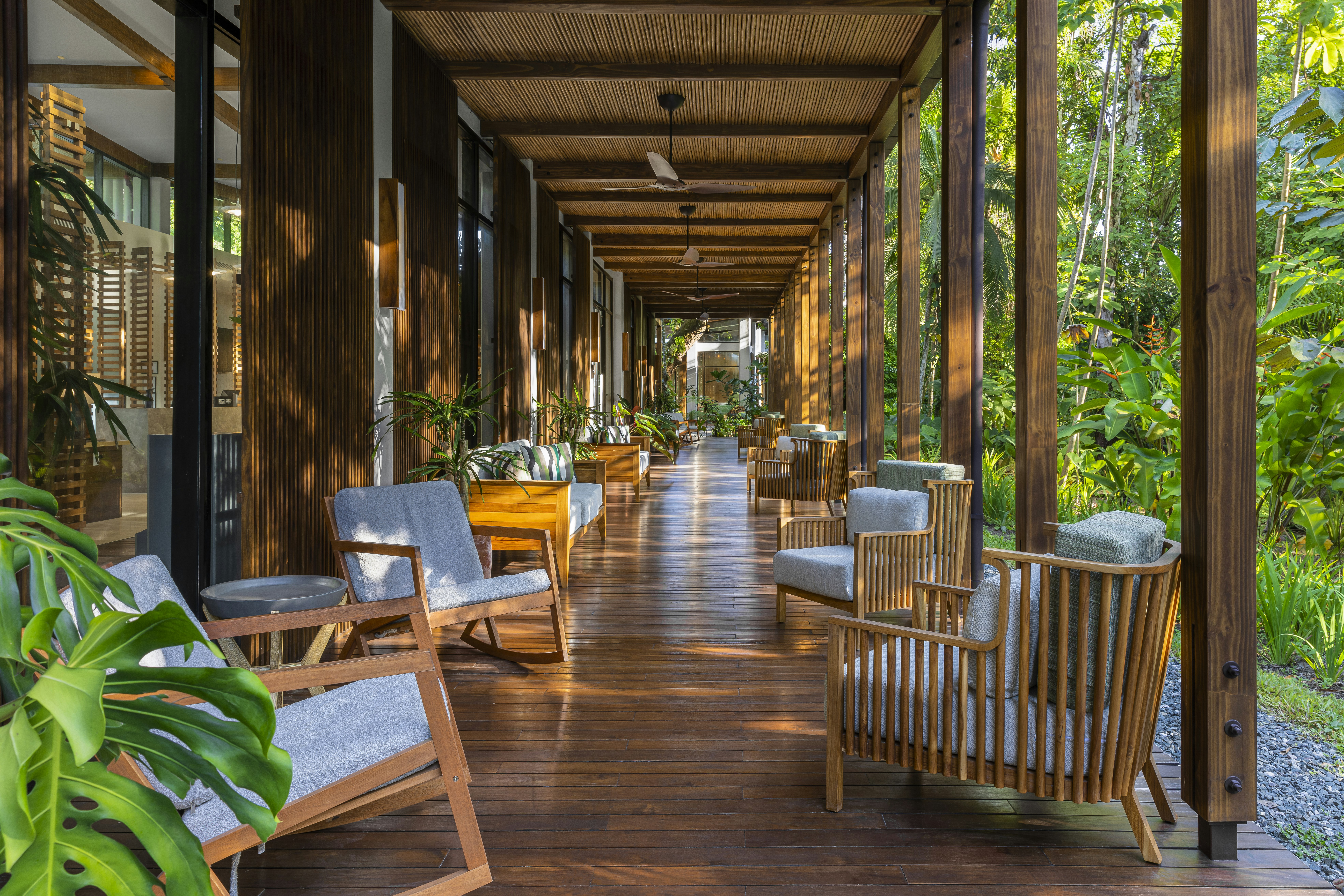 Botanika Osa Peninsula, Curio Collection by Hilton 55/73