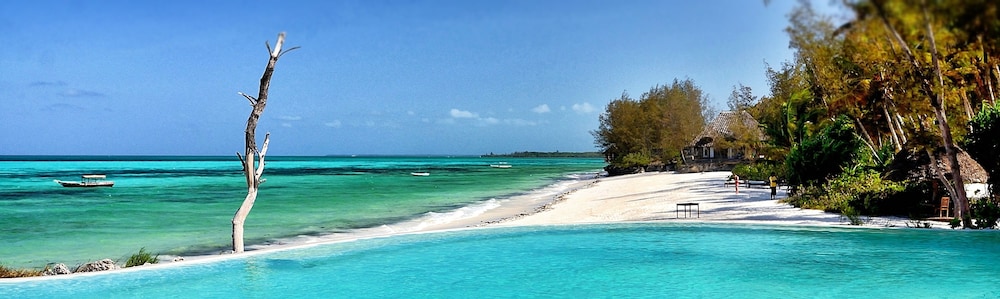 Pongwe Beach Hotel 34/50