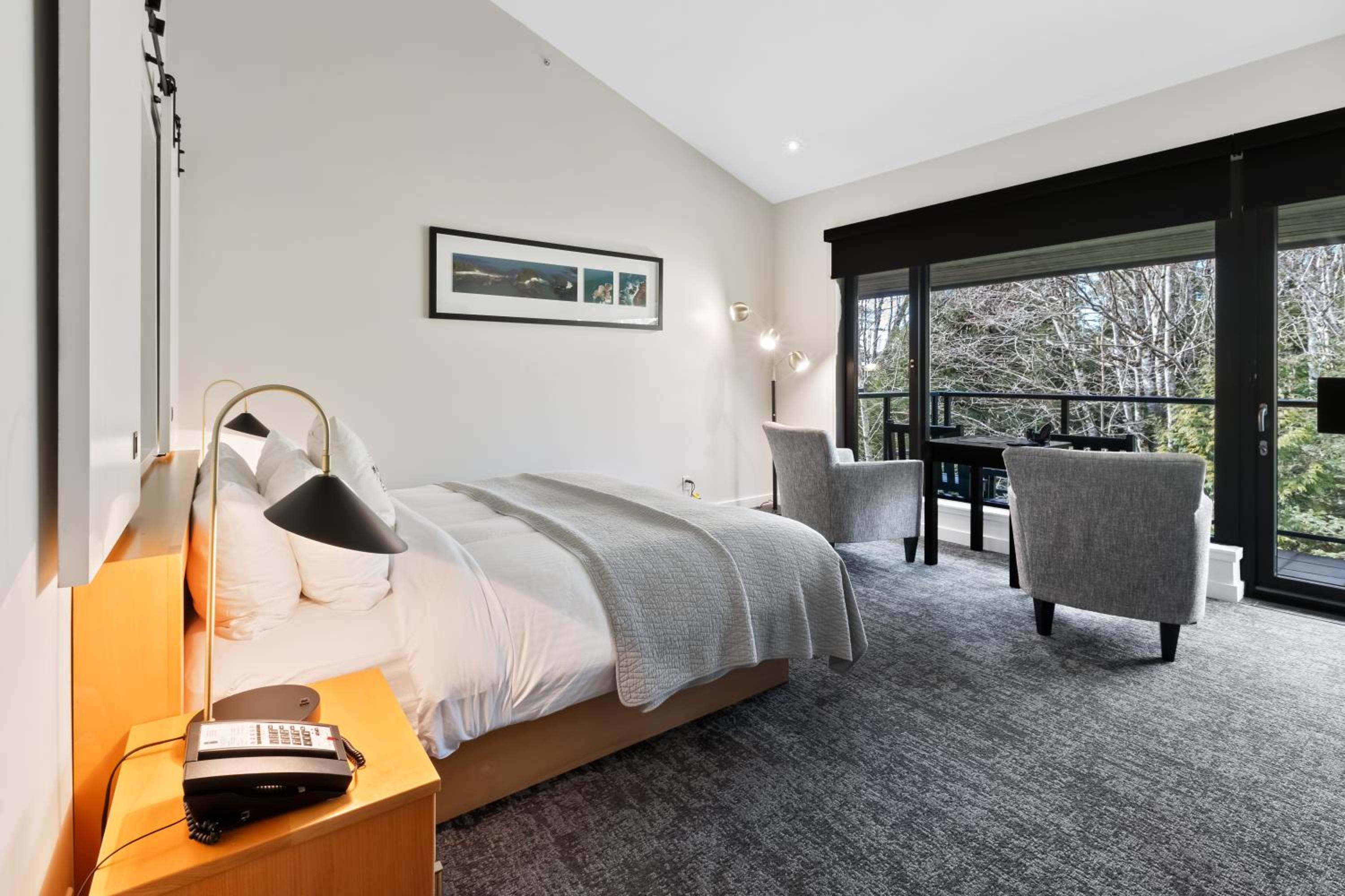 Studio, King Bed, Partial View