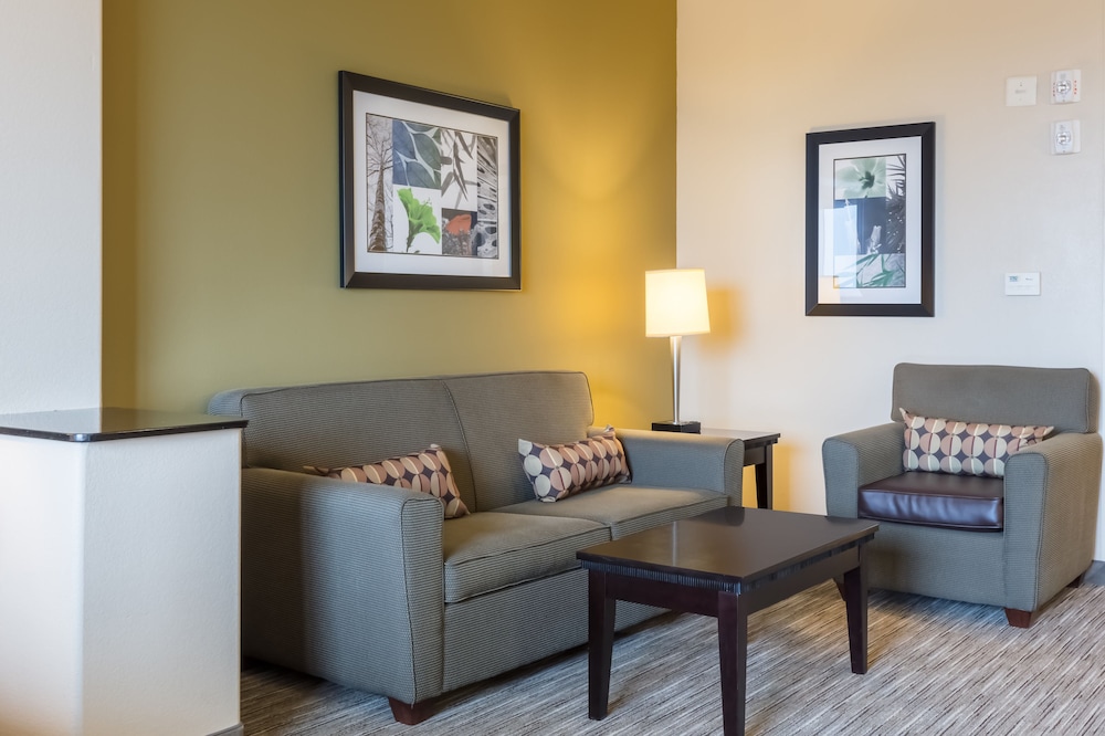 Holiday Inn Express Hotel And Suites Dallas West 28/40