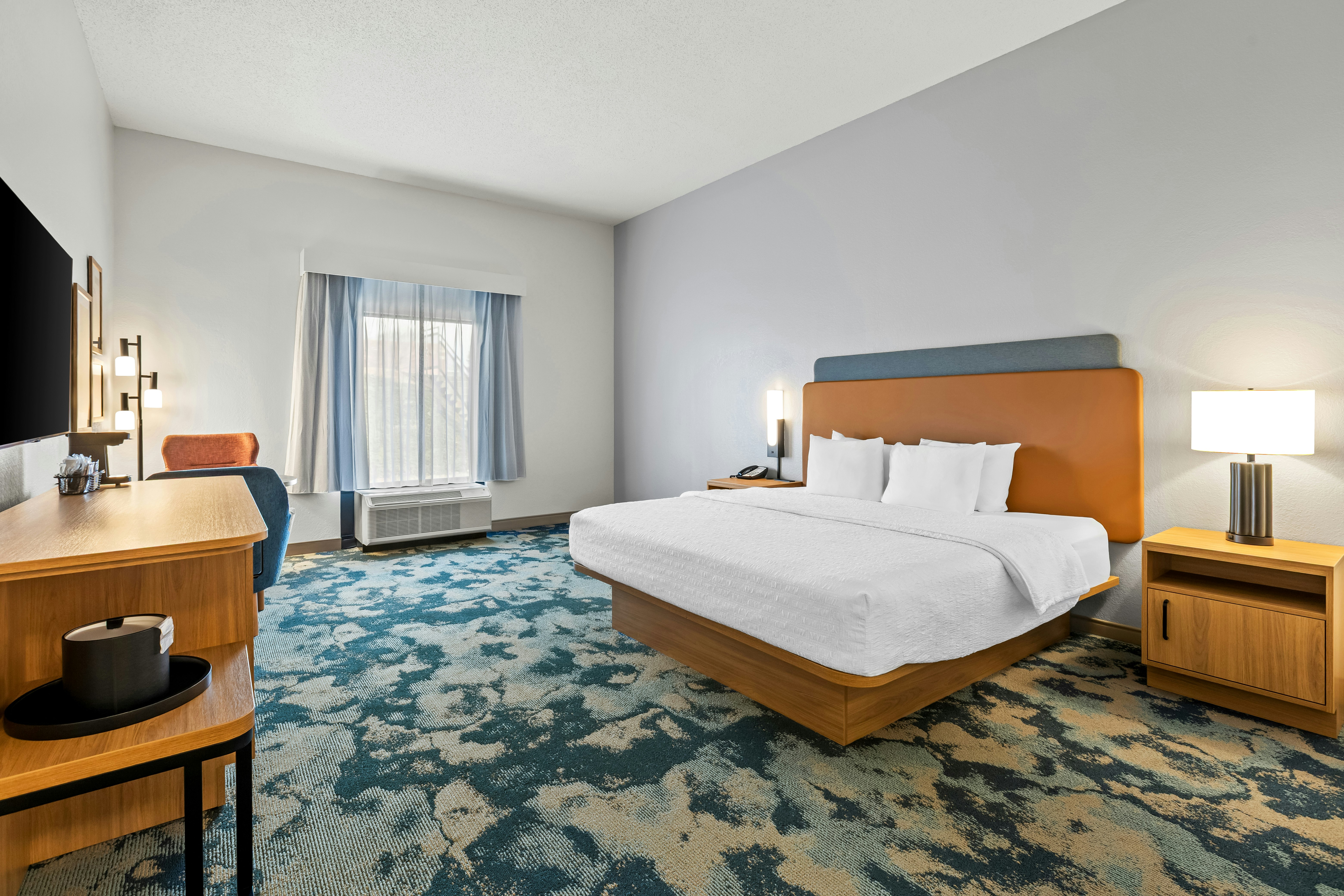 Hampton Inn Carrollton, GA 21/75