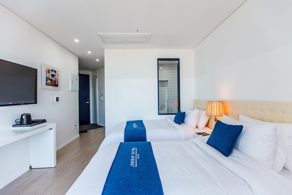 Bluespring Boutique Hotel 17/50