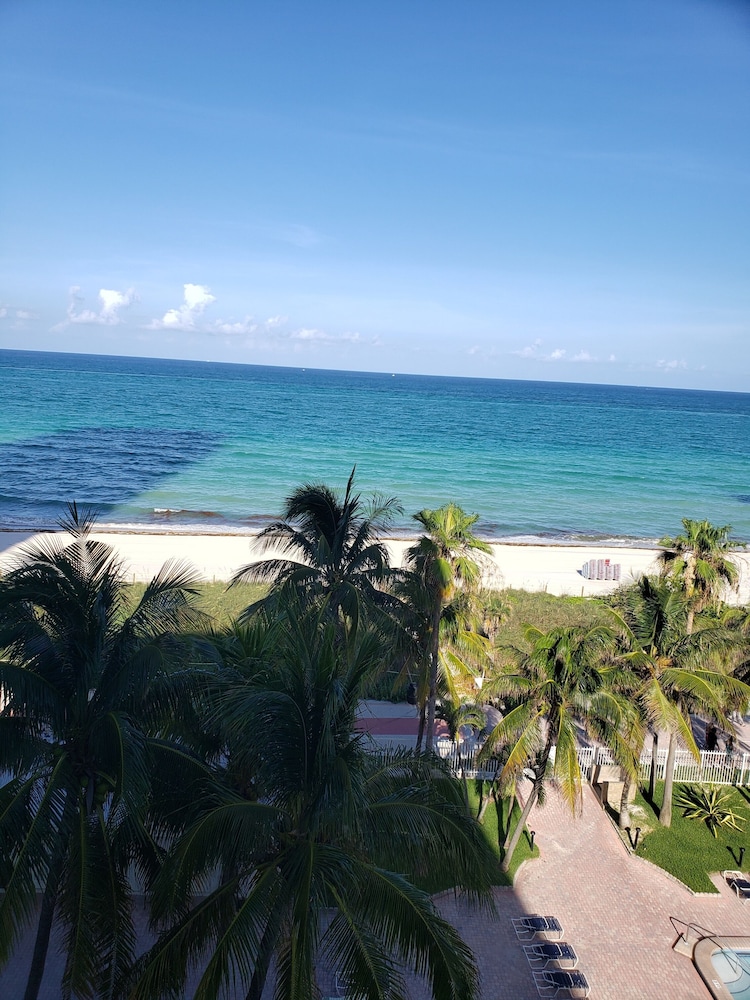 Beach Front Studio 40/50