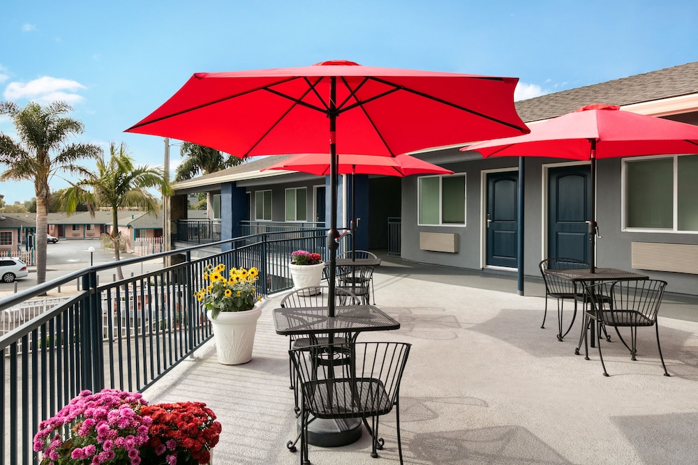 Torch Lite Inn 30/35