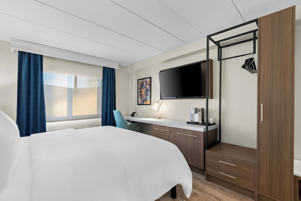 Suite, King Bed, Accessible