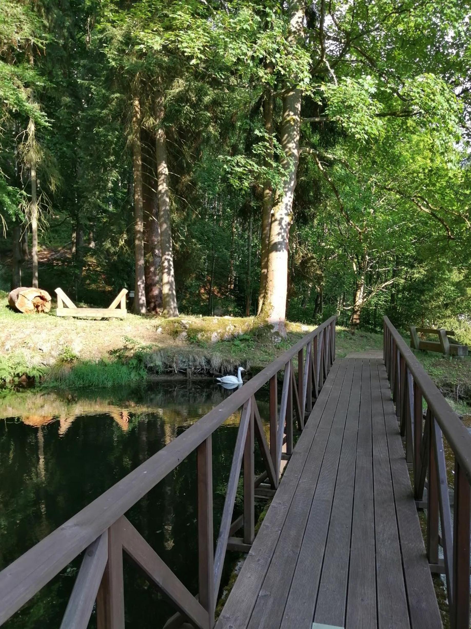 Parkhotel Forest 52/60