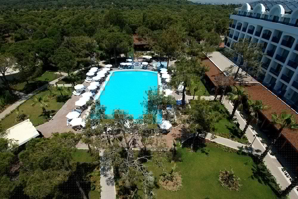 Berry Blue Hotel 3/95